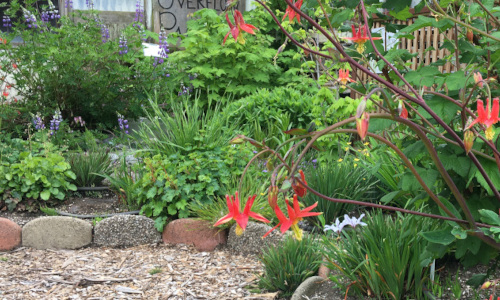 Demonstration Garden